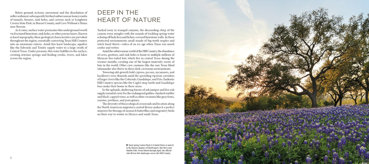 Texas Hill Country: A Scenic Journey