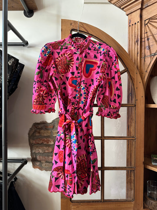 Ivy Jane- Charming Snakes Dress